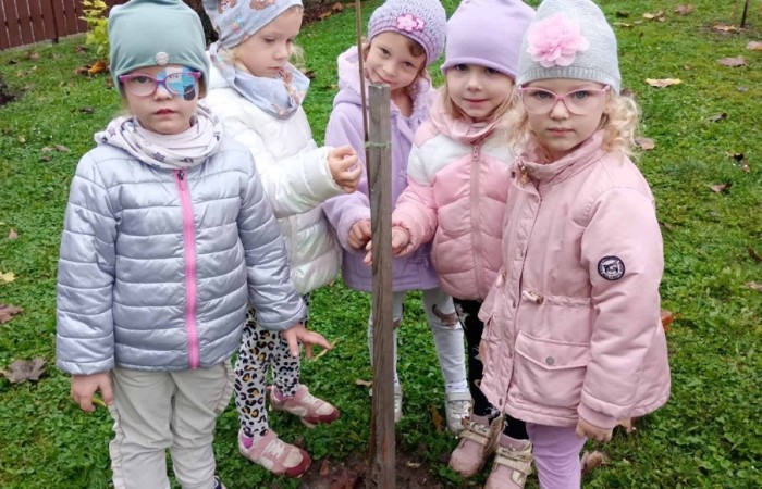 Sadzenie drzew i krzewów miododajnych