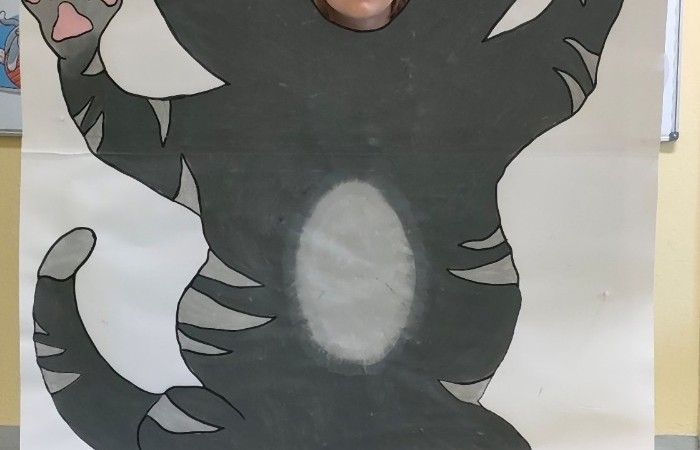 Dzień Kota - grupa Tygrysy