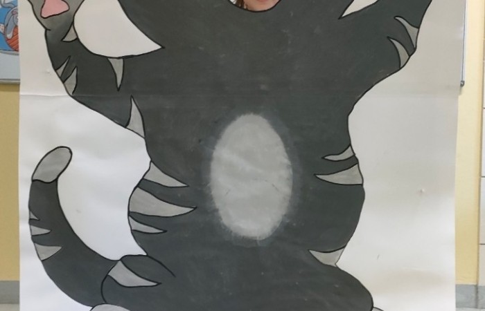 Dzień Kota - grupa Tygrysy