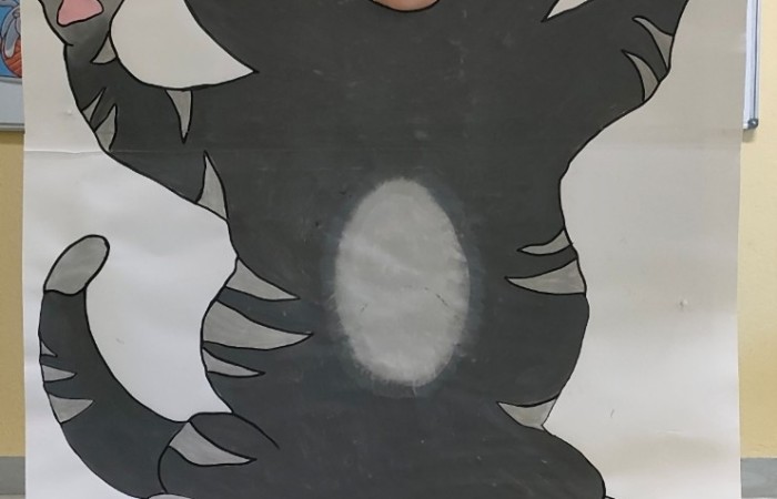 Dzień Kota - grupa Tygrysy