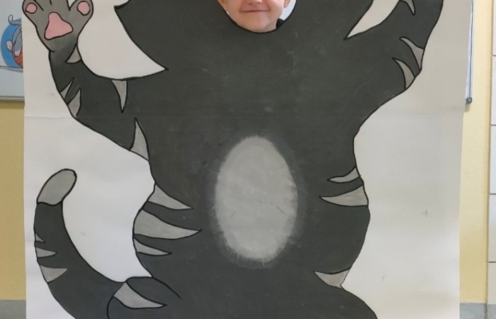 Dzień Kota - grupa Tygrysy