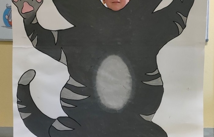 Dzień Kota - grupa Tygrysy