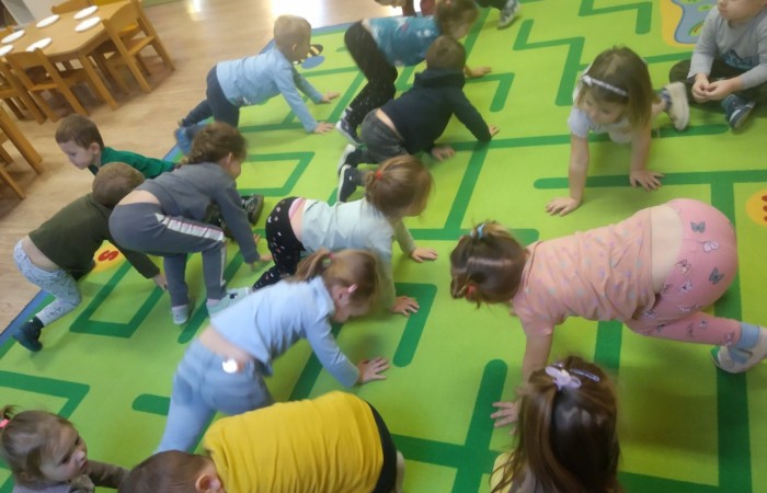 Dzień Kota - grupa Słoneczka