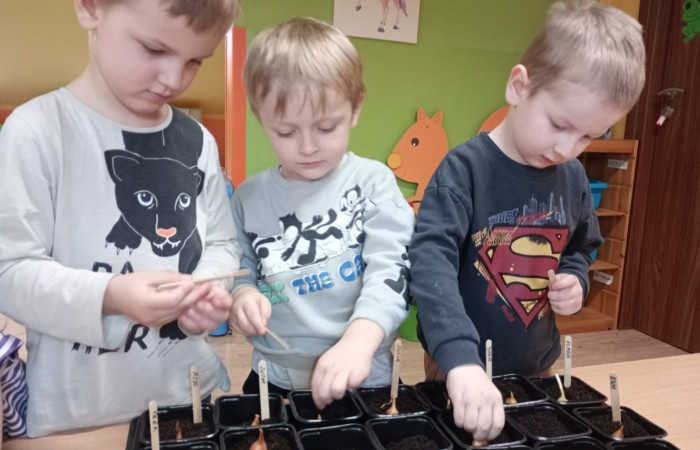 Zielony ogródek w grupie Smerfów