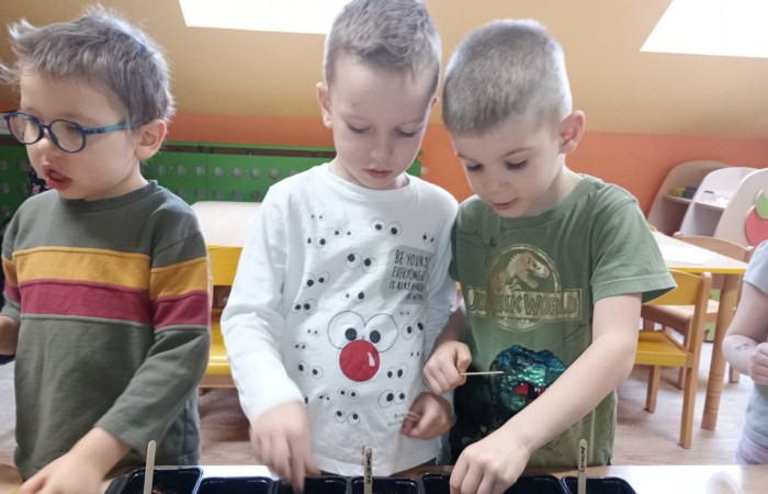 Zielony ogródek w grupie Smerfów