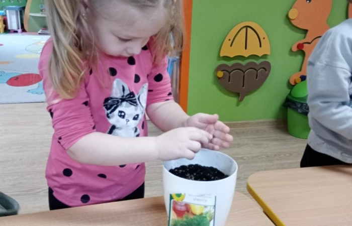 Zielony ogródek w grupie Smerfów