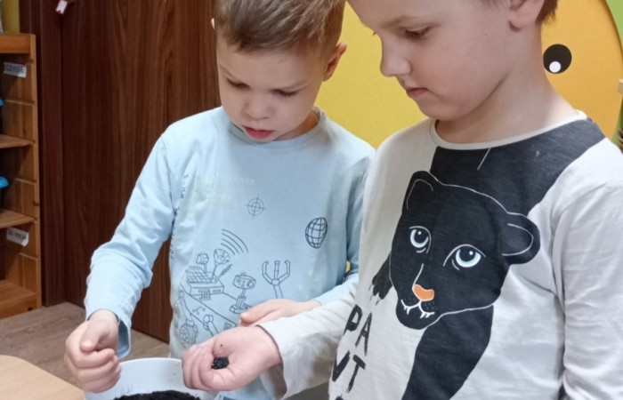 Zielony ogródek w grupie Smerfów