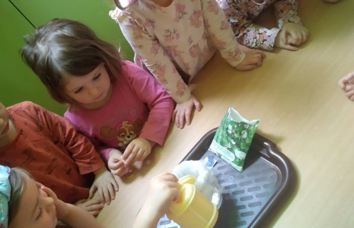 „Zielony Ogródek” w grupie „Słoneczka”