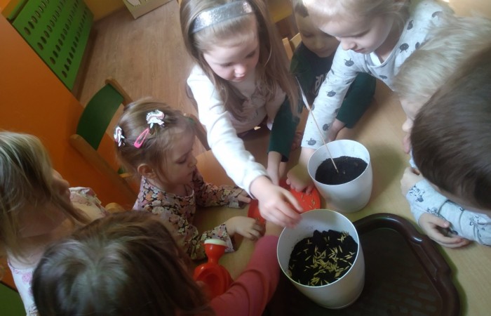 „Zielony Ogródek” w grupie „Słoneczka”
