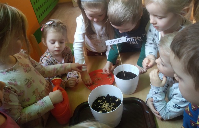 „Zielony Ogródek” w grupie „Słoneczka”