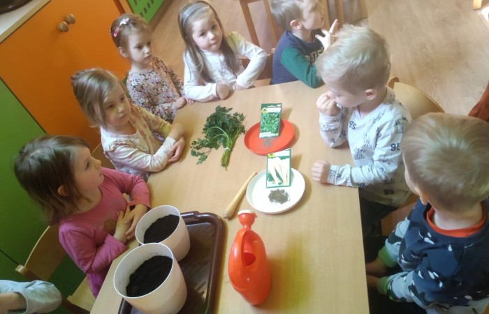 „Zielony Ogródek” w grupie „Słoneczka”