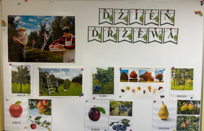 Dzień Drzewa - grupa Słoneczka