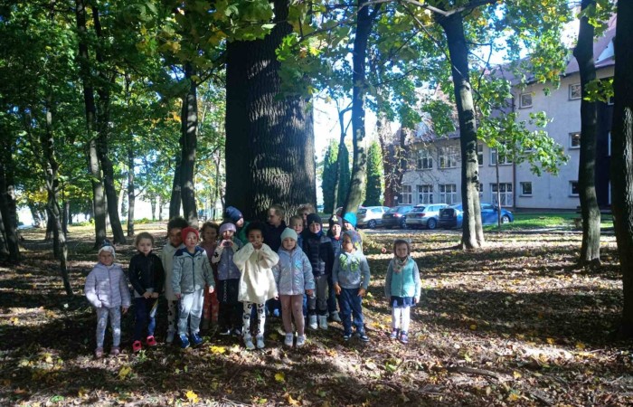 Dzień Drzewa - grupa Tygrysy