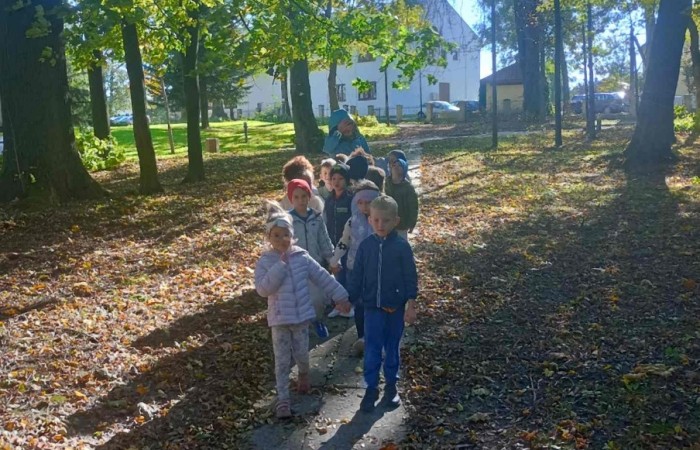Dzień Drzewa - grupa Tygrysy