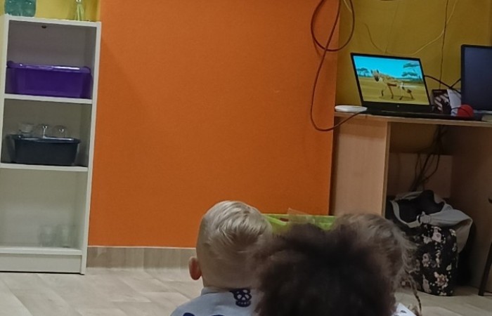 Światowy Dzień Zwierząt
