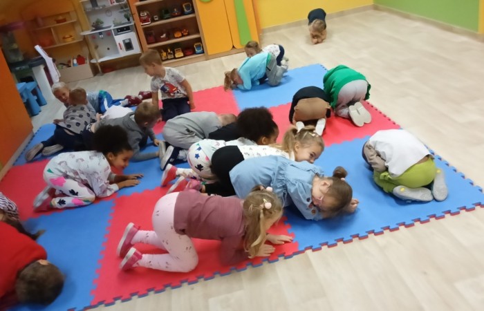 Światowy Dzień Zwierząt