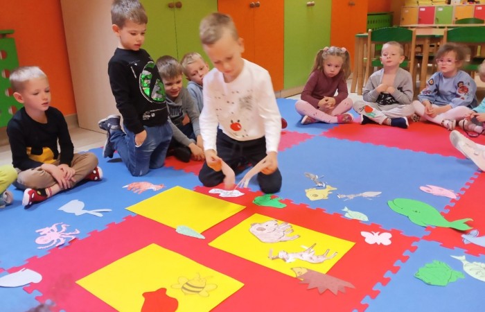 Światowy Dzień Zwierząt