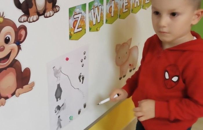 Światowy Dzień Zwierząt