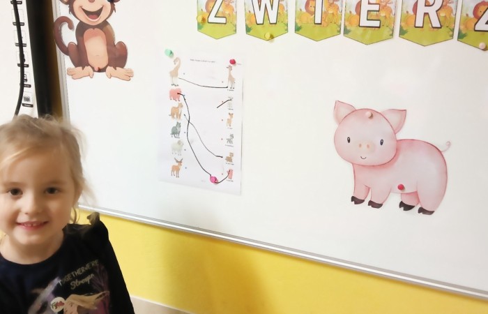 Światowy Dzień Zwierząt