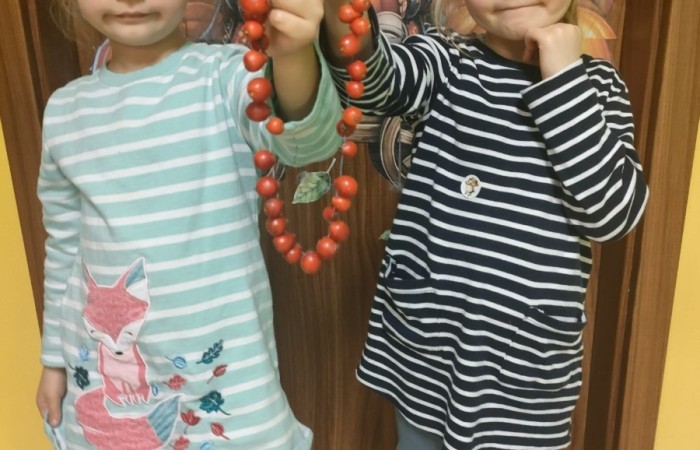 Projekt edukacyjny „20 kroków do zimy”