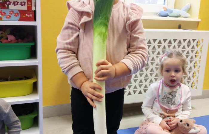 Ogólnopolski Projekt Edukacyjny „Witaminki”