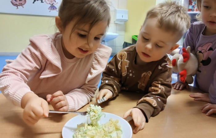 Ogólnopolski Projekt Edukacyjny „Witaminki”