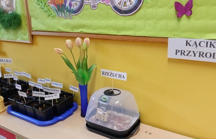 Zakładamy „Zielone ogródki” w Przedszkolu - grupa Smerfy