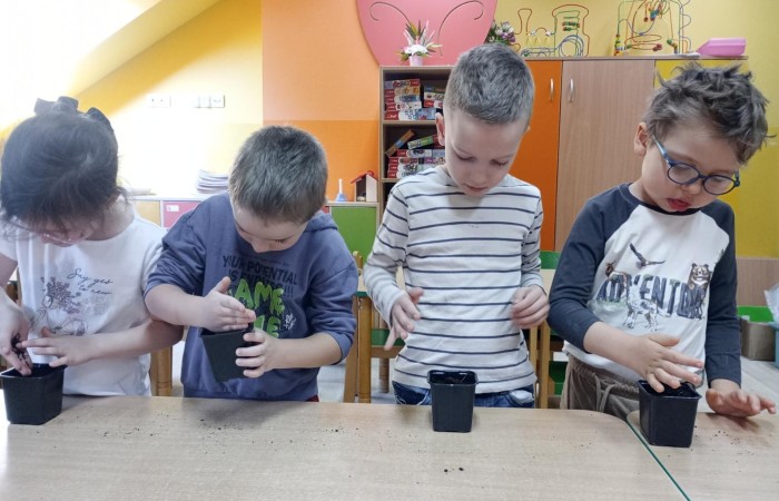 Zakładamy „Zielone ogródki” w Przedszkolu - grupa Tygrysy