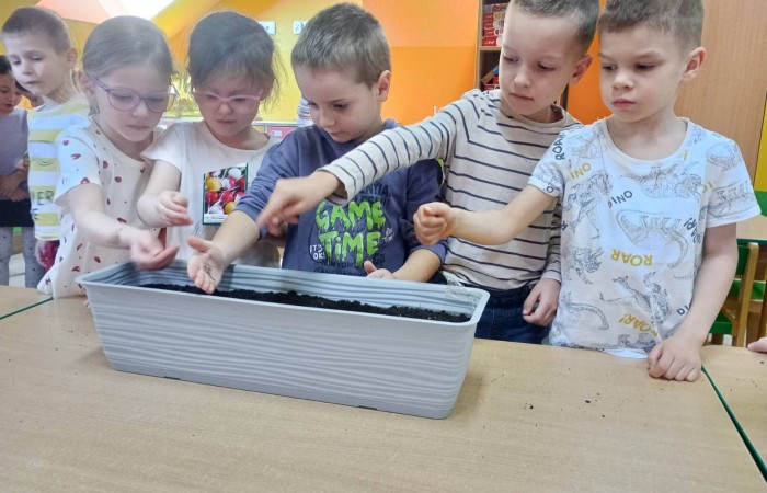Zakładamy „Zielone ogródki” w Przedszkolu - grupa Tygrysy