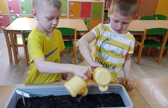 Zakładamy „Zielone ogródki” w Przedszkolu - grupa Tygrysy