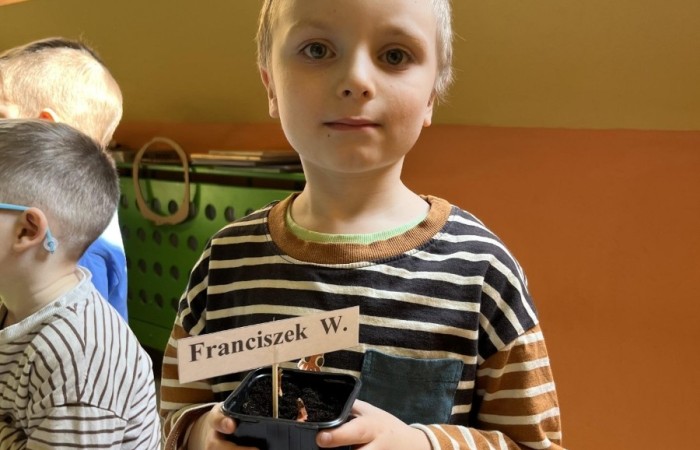 Zakładamy „Zielone ogródki” w Przedszkolu - grupa Smerfy