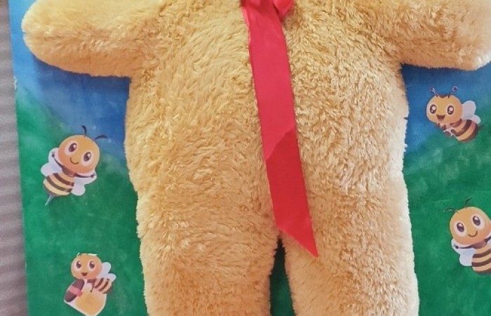Dzień Pluszowego Misia