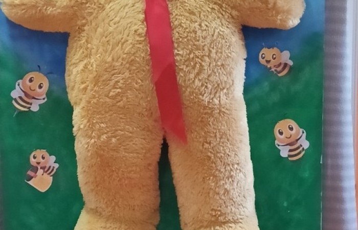 Dzień Pluszowego Misia